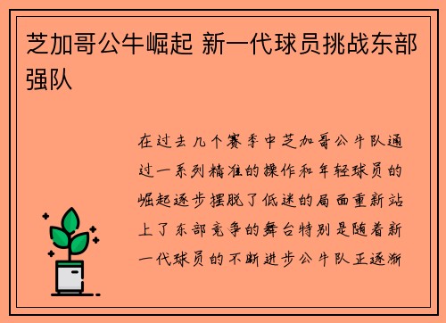 芝加哥公牛崛起 新一代球员挑战东部强队